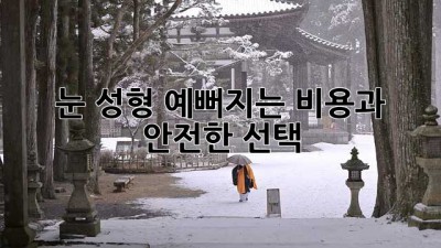 눈 성형, 예뻐지는 비용과 안전한 선택