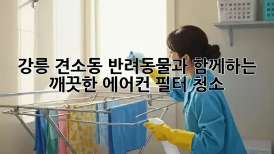 강릉 견소동 반려동물과 함께하는 깨끗한 에어컨 필터 청소